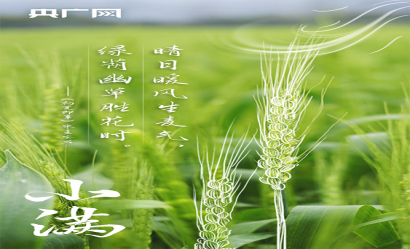 小滿｜人生最好是小滿，在詩詞中領(lǐng)略最美初夏！?